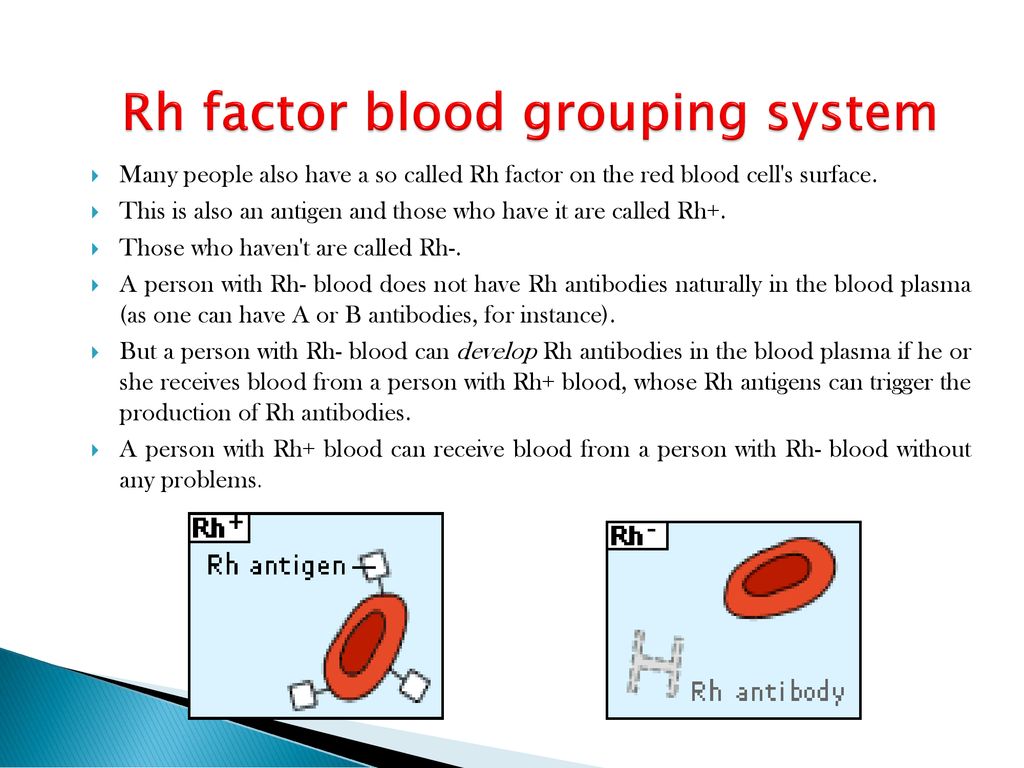 Blood Groups, Blood Typing & Blood Transfusions - Ppt Download