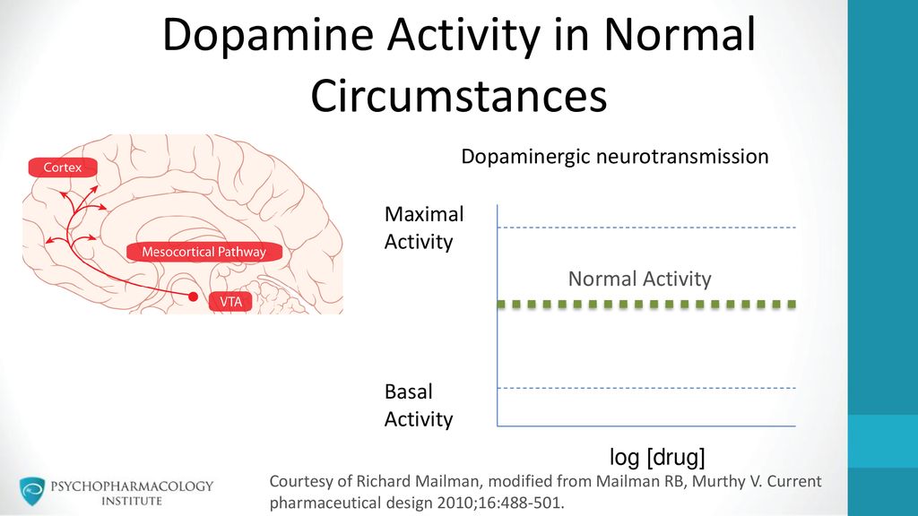 Dopamine Activity in Normal Circumstances