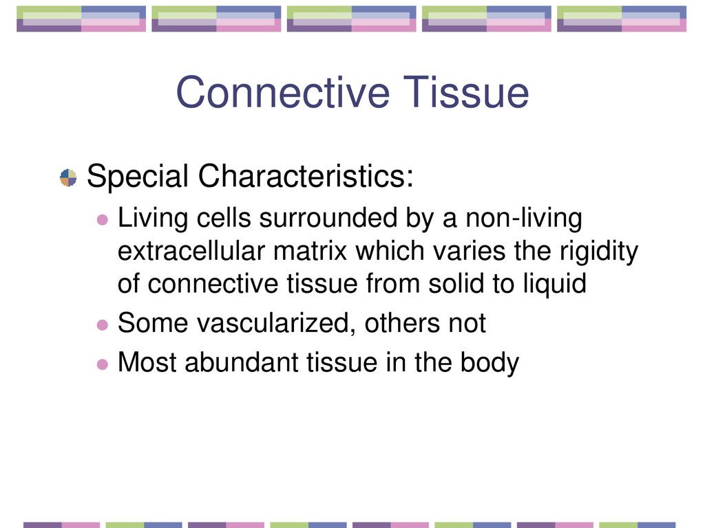 Cellular Membrane Chapter 3 in textbook. - ppt download