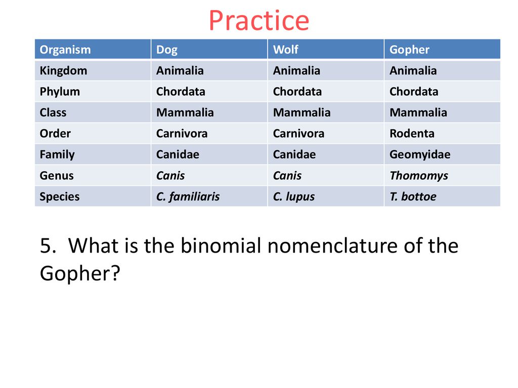 Kingdom Phylum Class Order Family Genus Species Worksheet