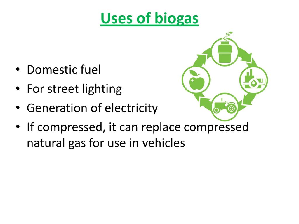 Uses of biogas Domestic fuel For street lighting