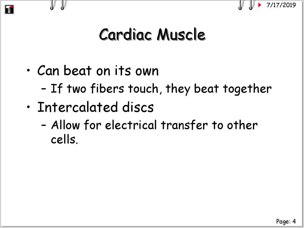 Cardiac Muscle Can beat on its own Intercalated discs