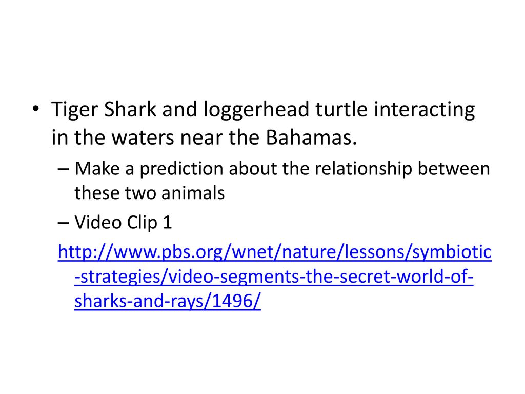 Ecological Relationships - ppt download