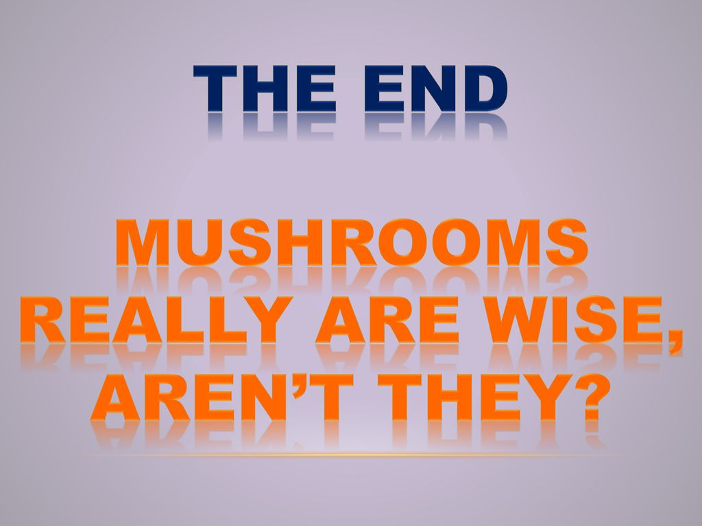 Mushrooms really are wise, aren’t they