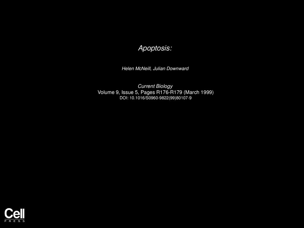 Apoptosis: Current Biology - ppt download