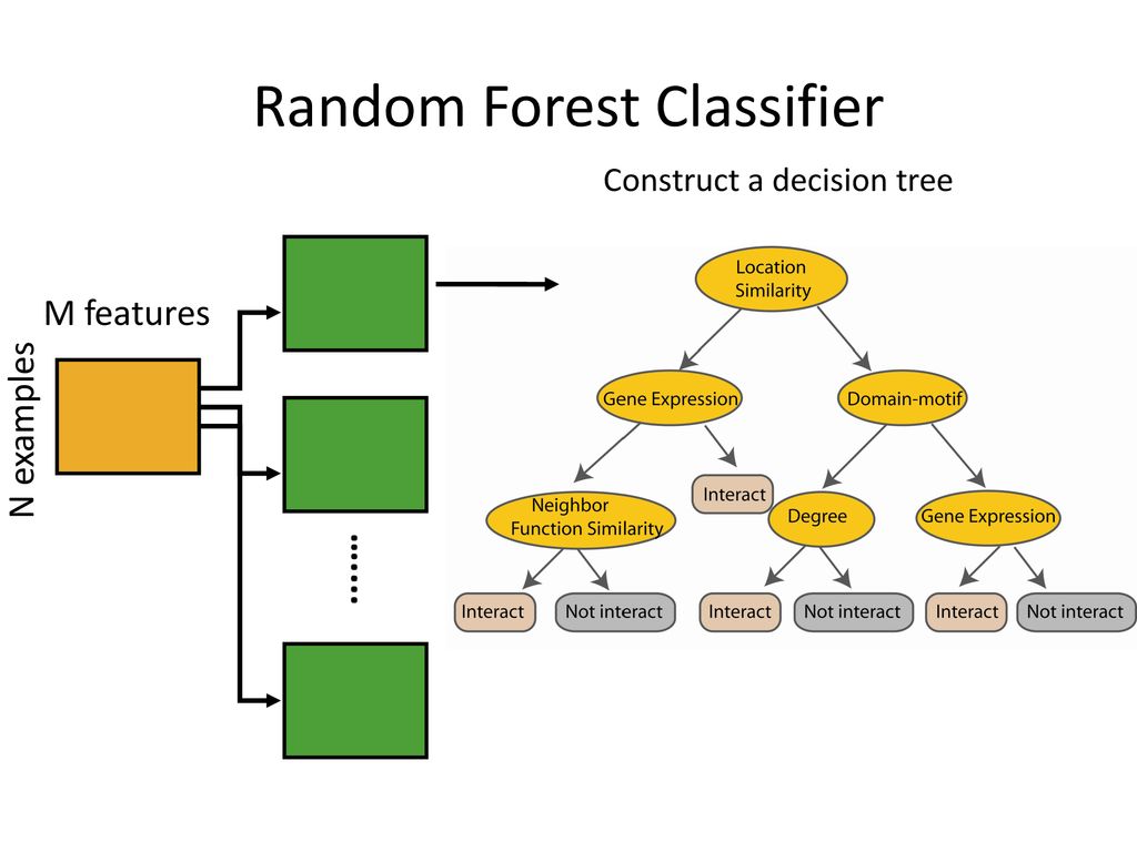 Случайный лес регрессия. Случайные деревья решений. Дерево решений и случайный лес. Алгоритм Random Forest. Случайный лес классификация.