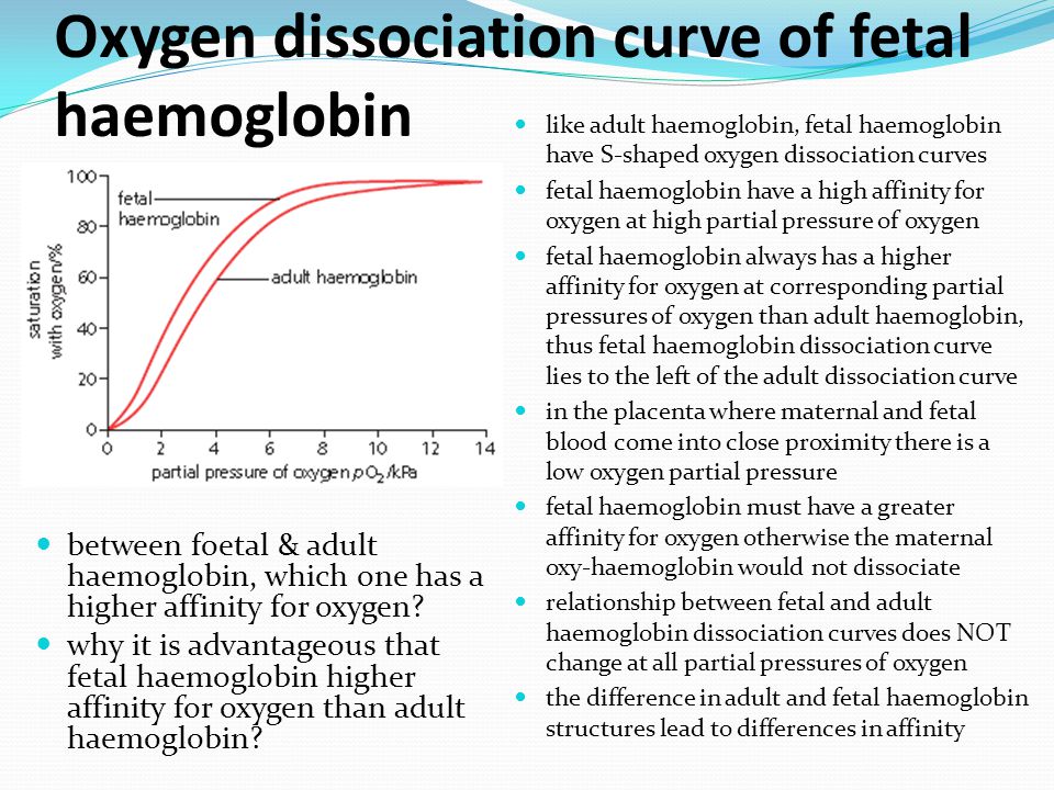 Difference between adult and fetal hemoglobin