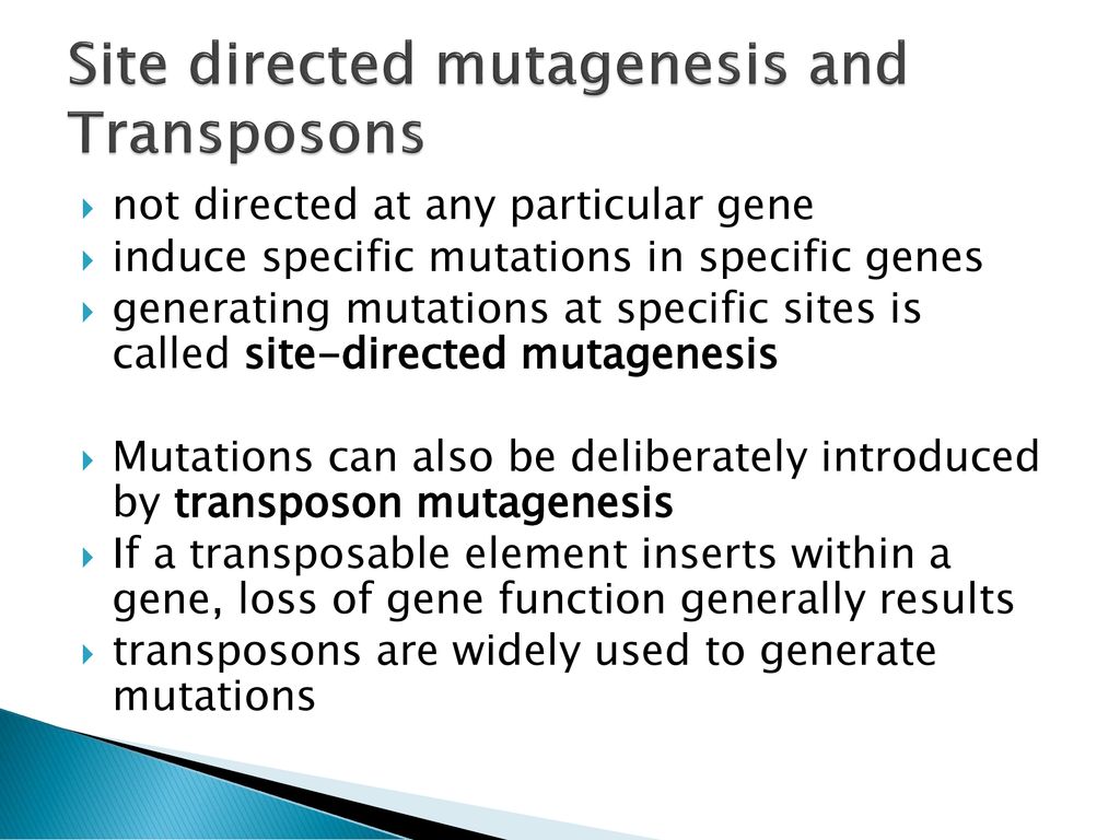 Site directed mutagenesis and Transposons