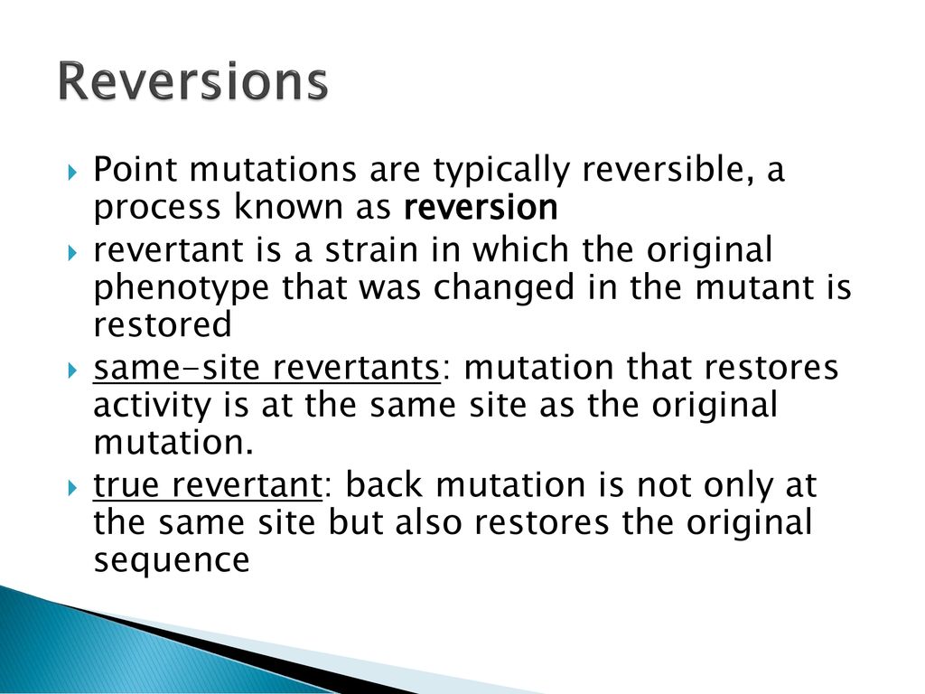 Reversions Point mutations are typically reversible, a process known as reversion.