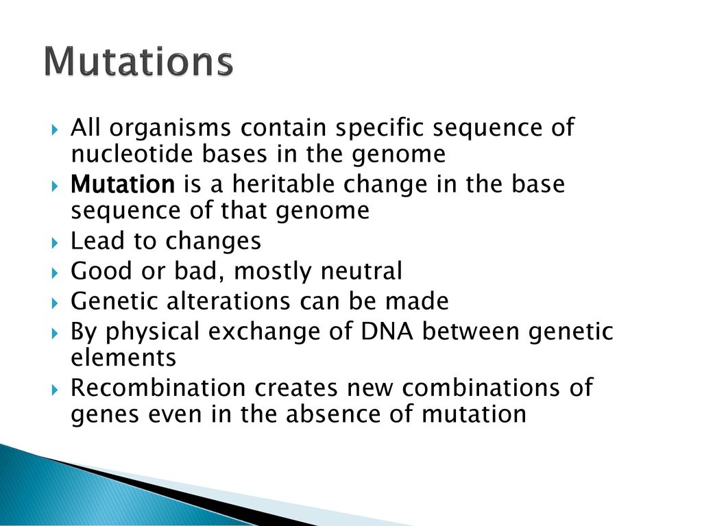 Mutations All organisms contain specific sequence of nucleotide bases in the genome.
