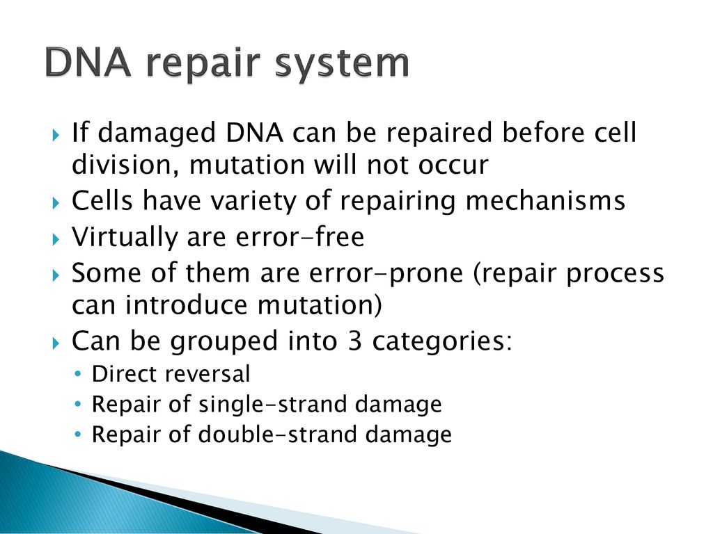 DNA repair system If damaged DNA can be repaired before cell division, mutation will not occur. Cells have variety of repairing mechanisms.