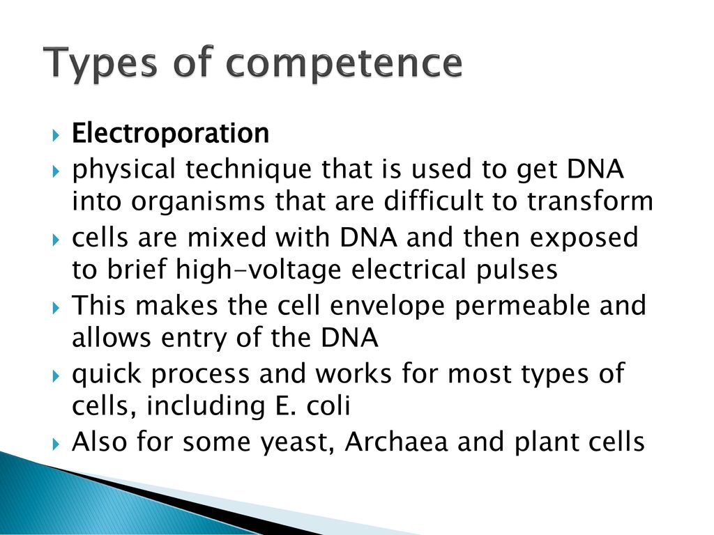 Types of competence Electroporation