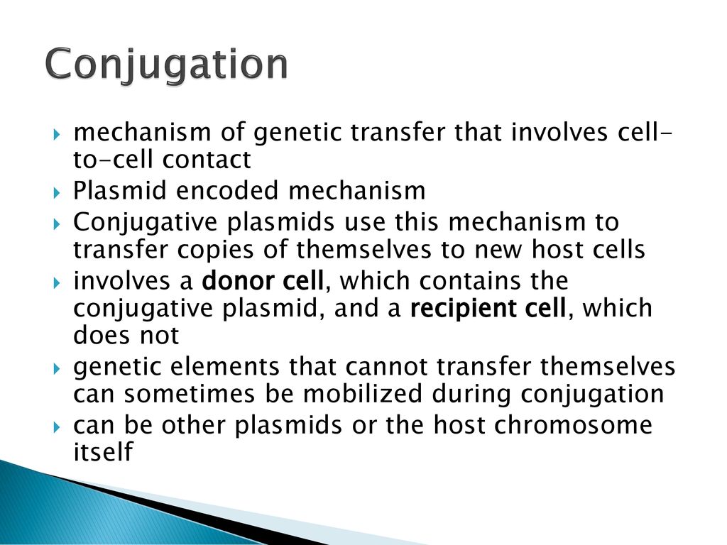 Conjugation mechanism of genetic transfer that involves cell- to-cell contact. Plasmid encoded mechanism.