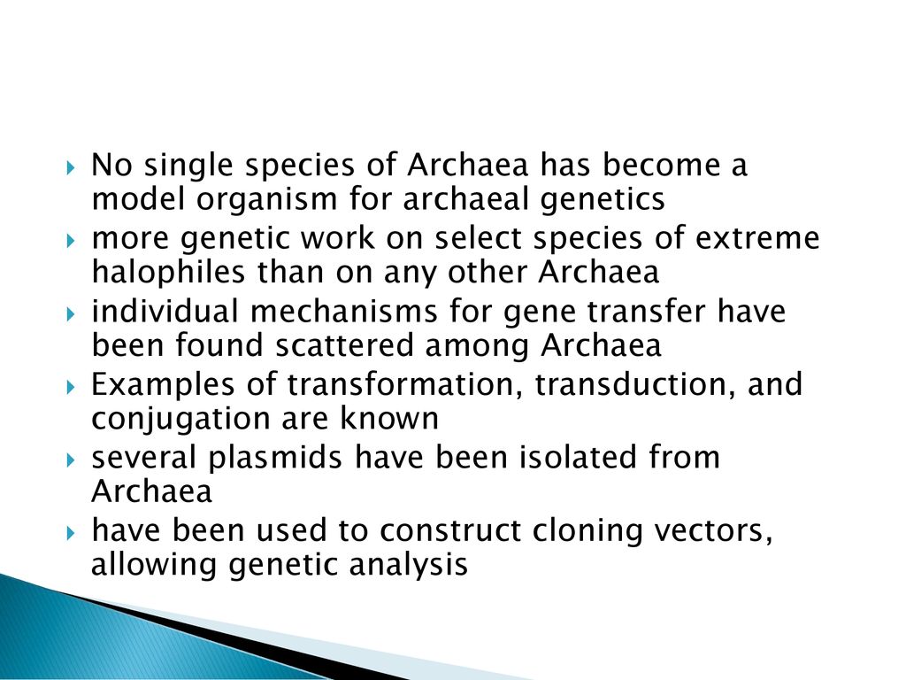 No single species of Archaea has become a model organism for archaeal genetics