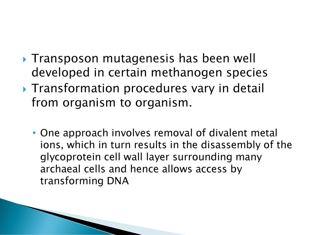 Transformation procedures vary in detail from organism to organism.