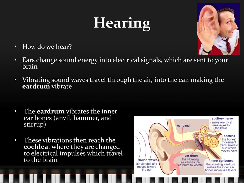 The Ear D. Crowley, Ppt Download 