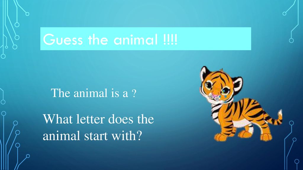 Learning the alphabet with animals!!! - ppt download