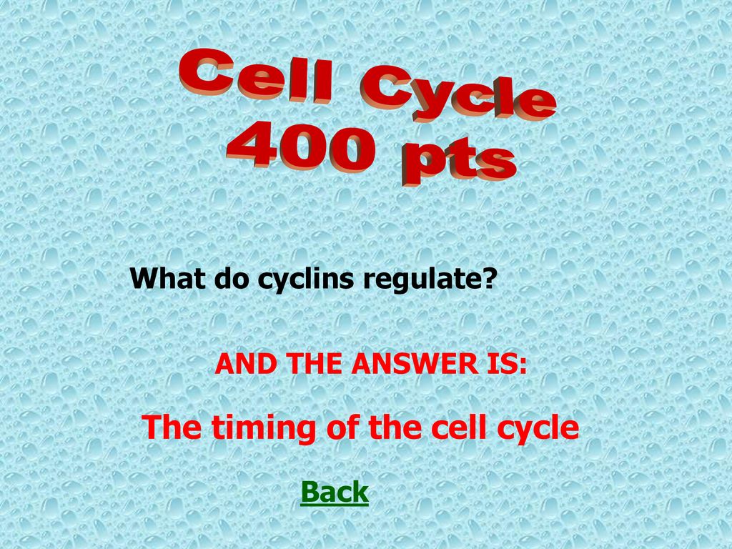ppt download Biology Diagrams