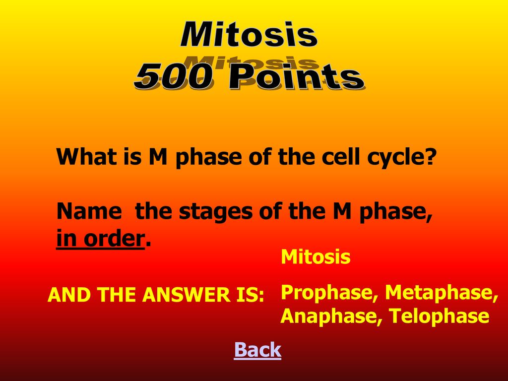 ppt download Biology Diagrams