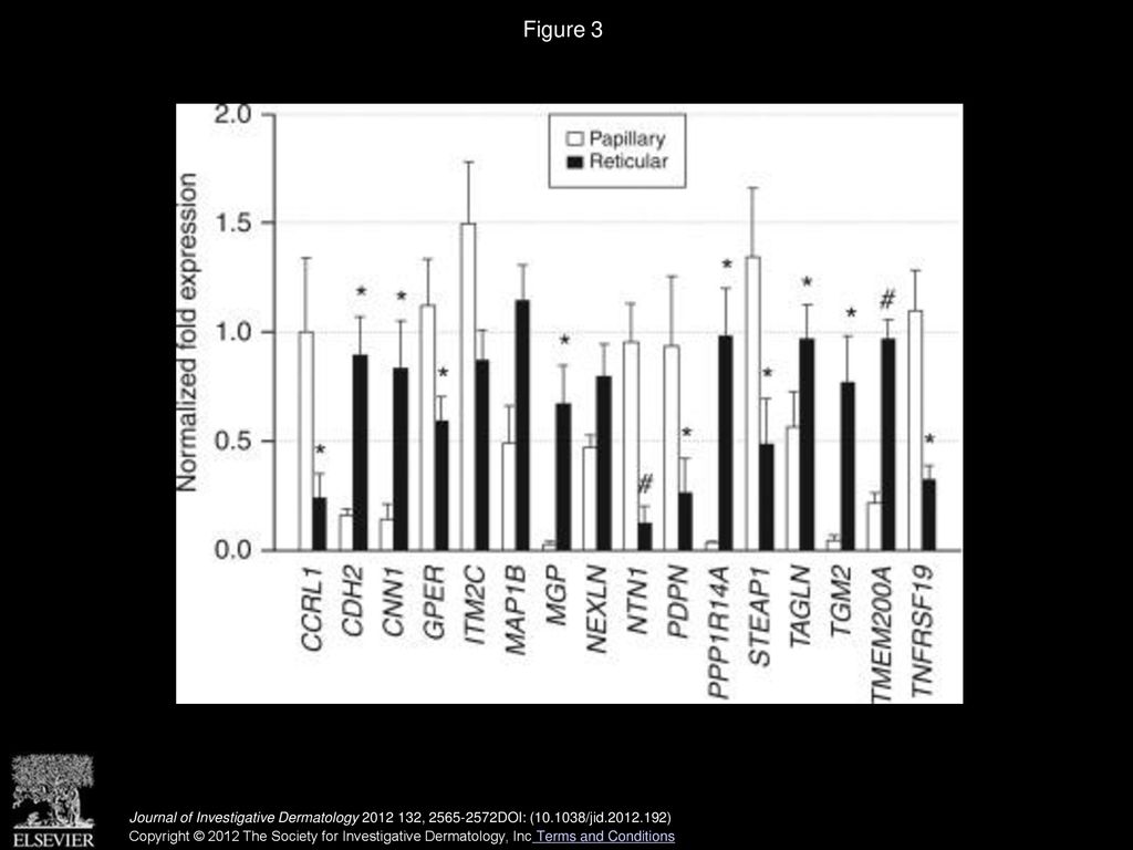 Different Gene Expression Patterns In Human Papillary And Reticular different-gene-expression-patterns-in-human-papillary-and-reticular