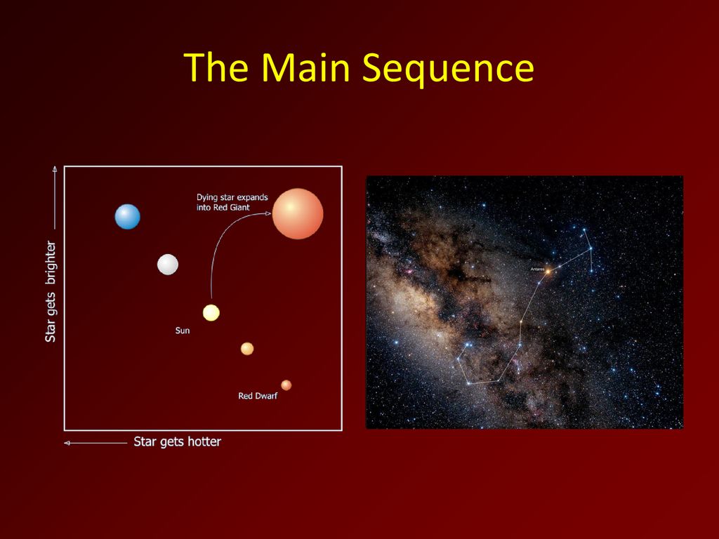 Denizens of the Night Sky ppt download