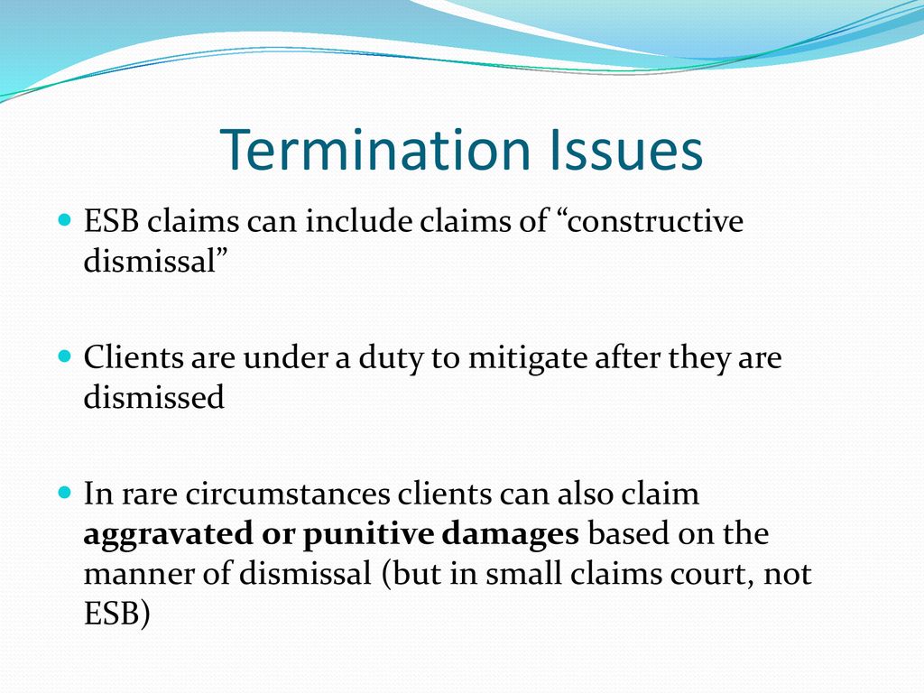 Employment Standards Branch and Overlap with HRT and Small Claims ppt