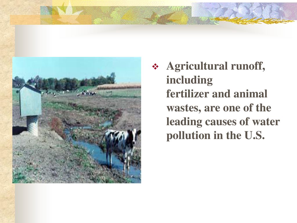 Agricultural Pollution - ppt download