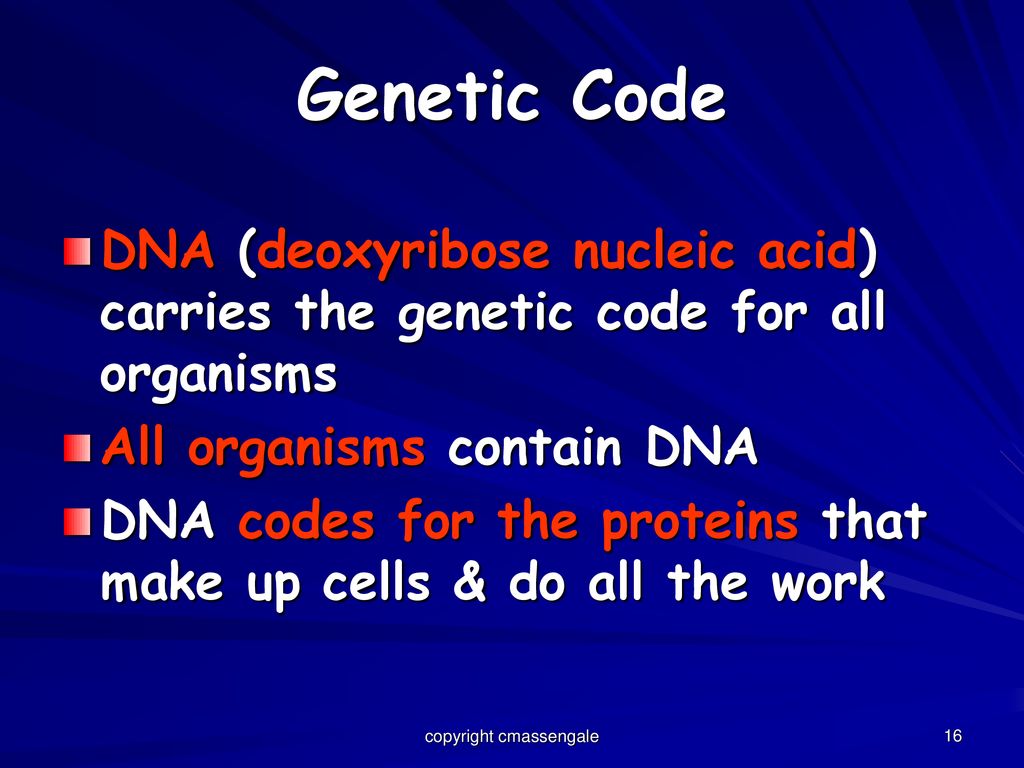 Coding properties. Genetic code DNA. Genetic code properties. The genetic code Biology. Genetic code Table.