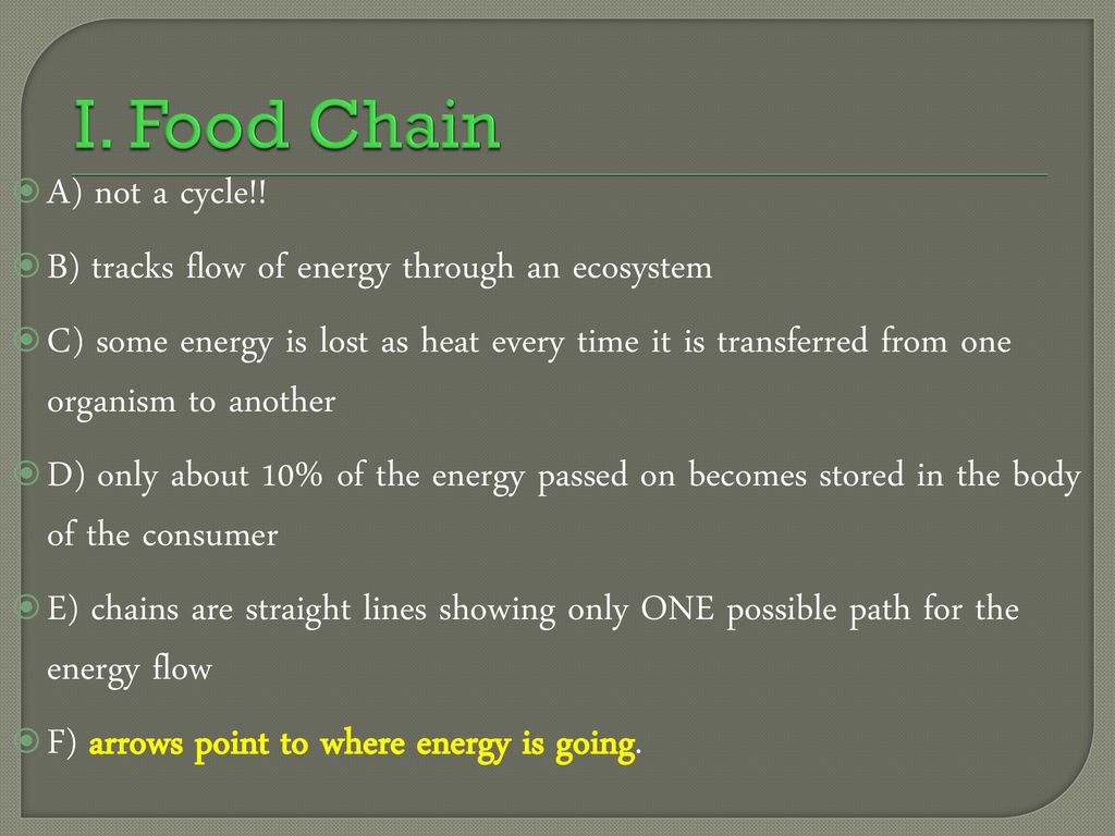 Food Chains & Food Webs. Biology Diagrams