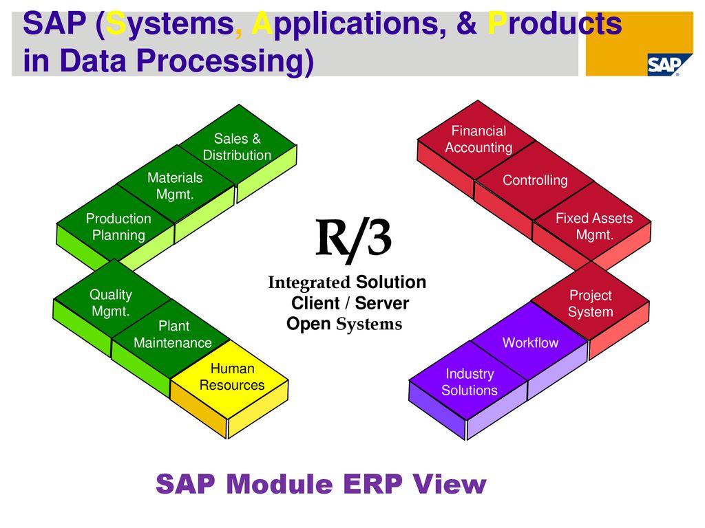 R/3 SAP (Systems, Applications, & Products in Data Processing)