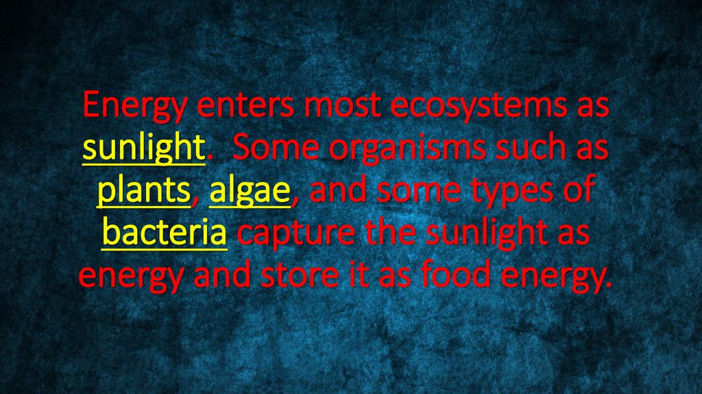 Energy Flow In Ecosystems Ppt Download energy-flow-in-ecosystems-ppt-download