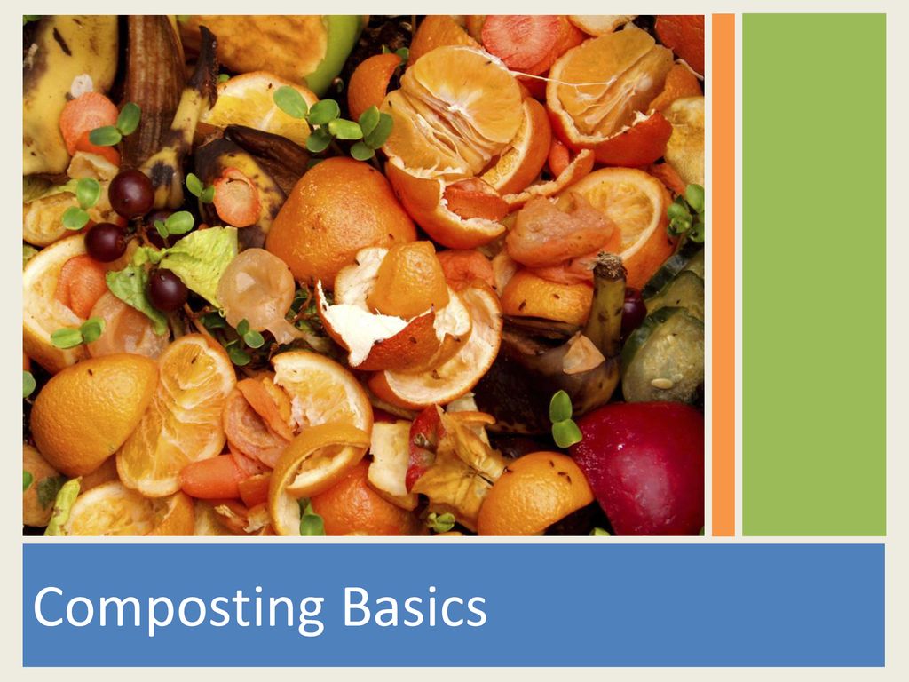  composting basics