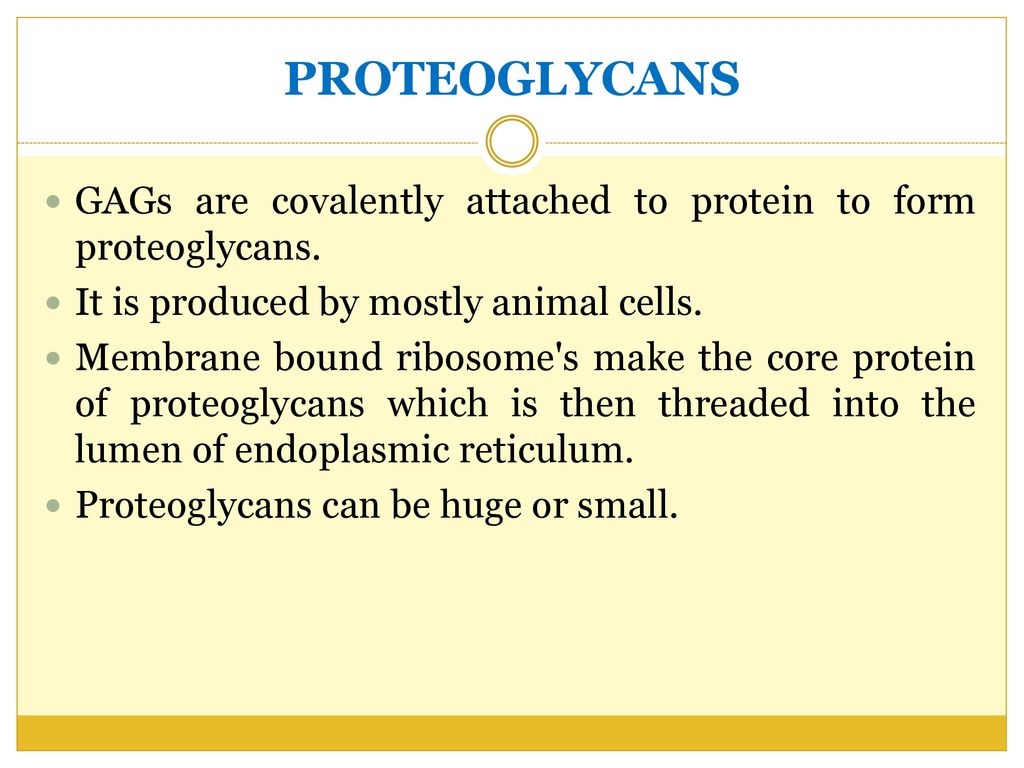 PROTEOGLYCANS GAGs are covalently attached to protein to form proteoglycans. It is produced by mostly animal cells.