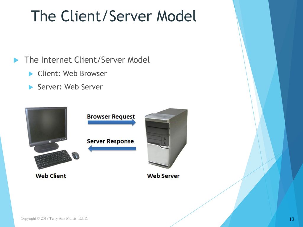 Basics Of Web Design Chapter 1 Internet & Web Basics Key Concepts - Ppt ...