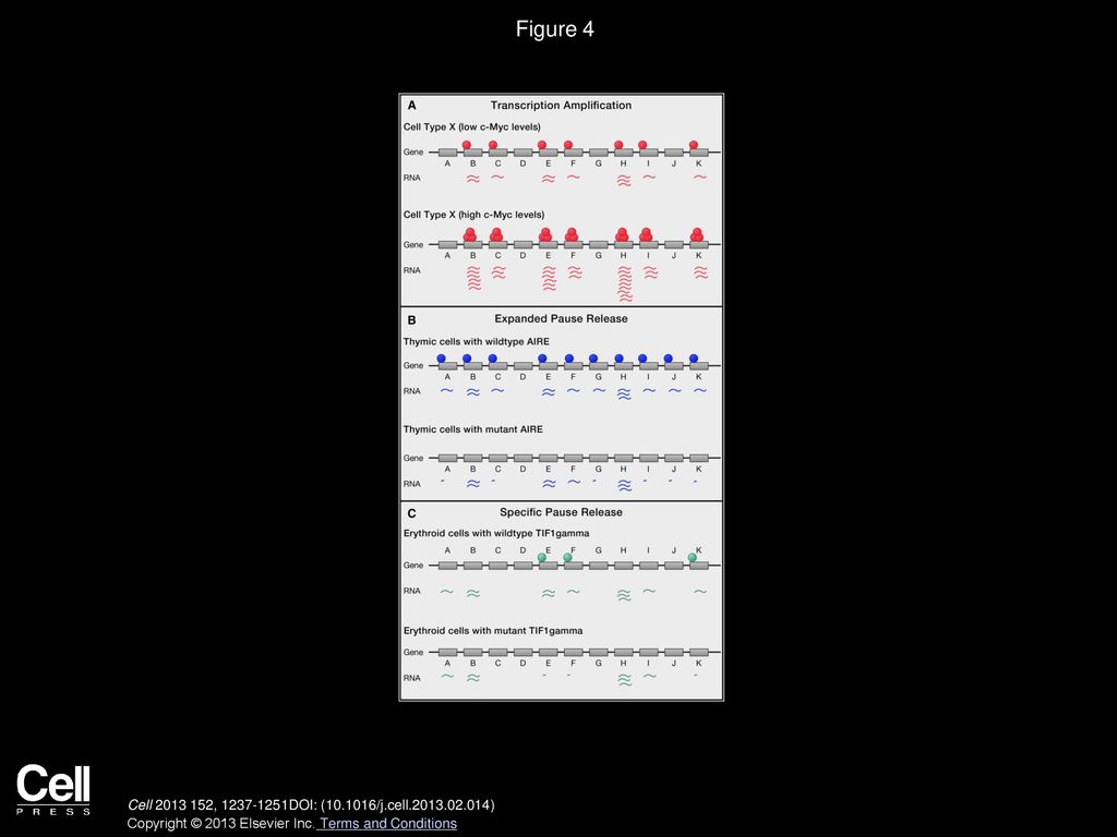 Transcriptional Regulation And Its Misregulation In Disease Cell