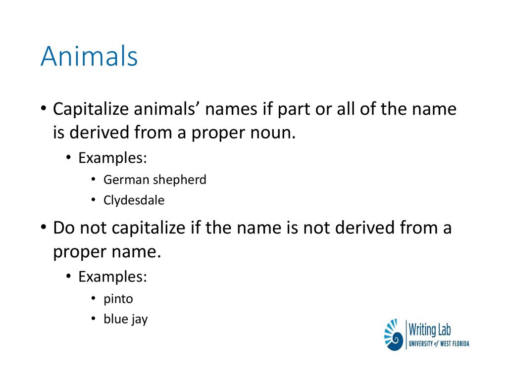 Should German Shepherd Be Capitalized