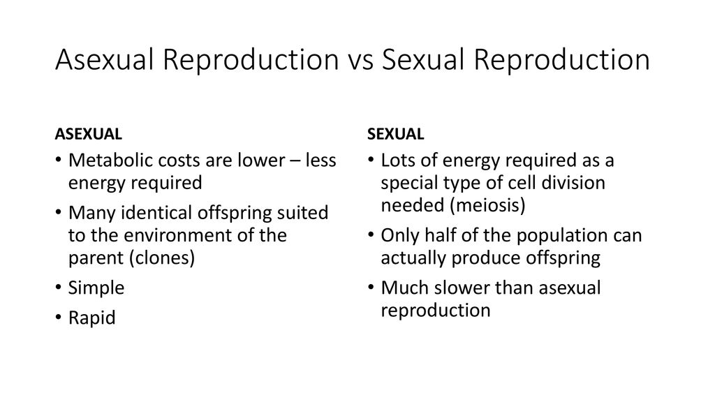 Sexual and Asexual Reproduction Biology Diagrams
