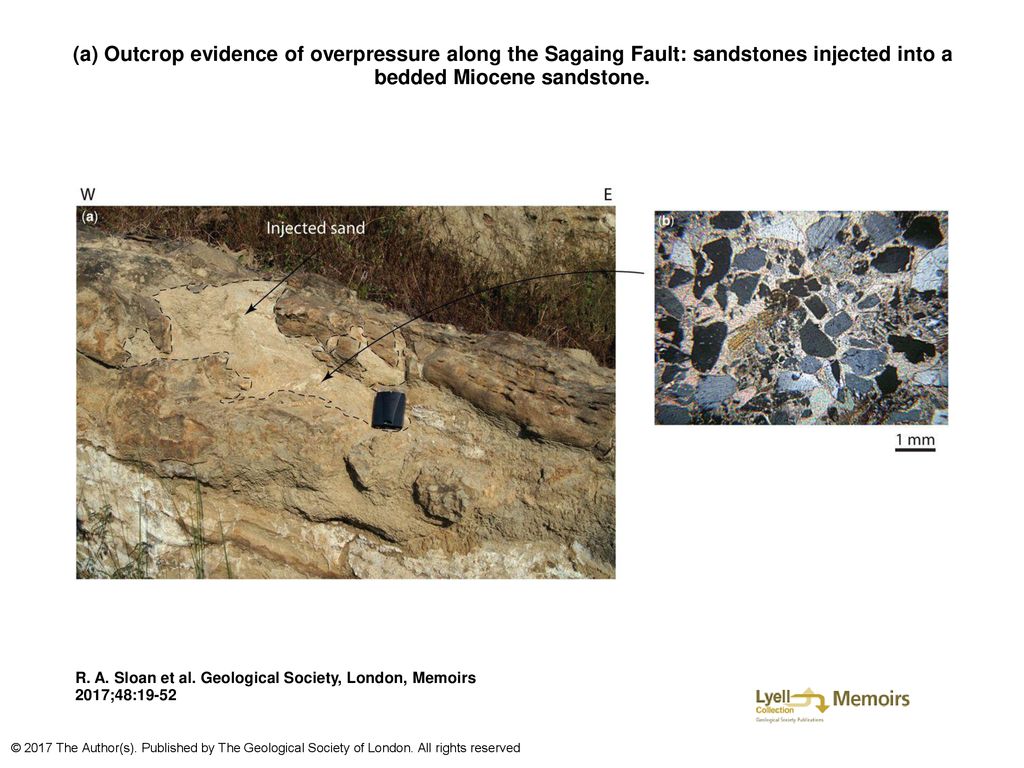 (a) Outcrop evidence of overpressure along the Sagaing Fault: sandstones injected into a bedded Miocene sandstone.