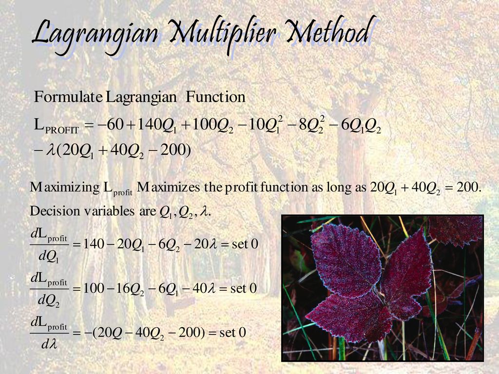 Calculus-Based Optimization AGEC ppt download