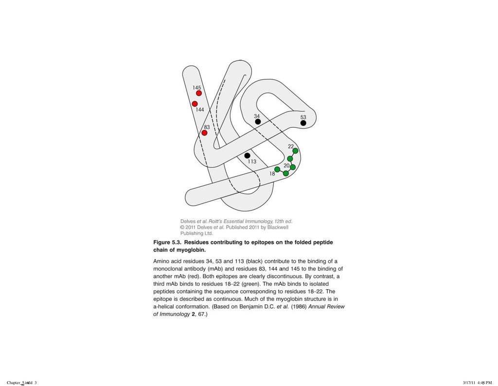 Chapter_5.indd 1 3/17/11 4:44 PM. - ppt download