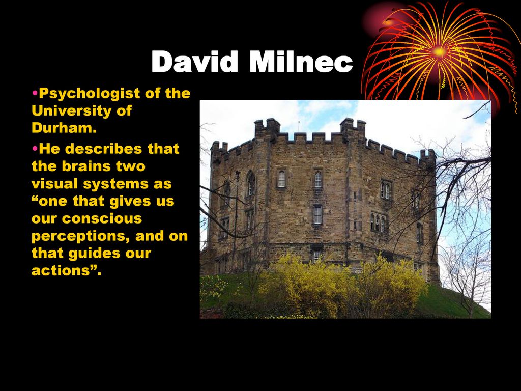 David Milnec Psychologist of the University of Durham.