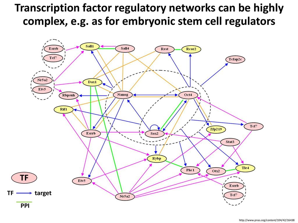 Frontiers Ap2 Erf Transcription Factor Regulatory Networks In Hormone