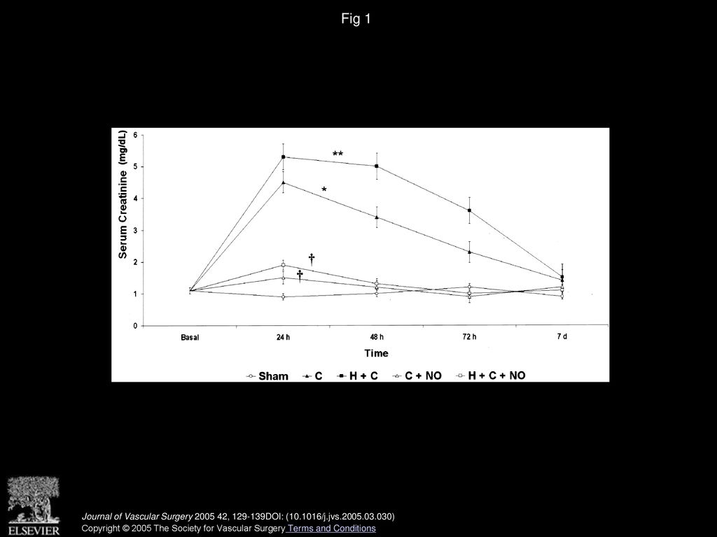 Exogenous nitric oxide modulates the systemic inflammatory response and ...