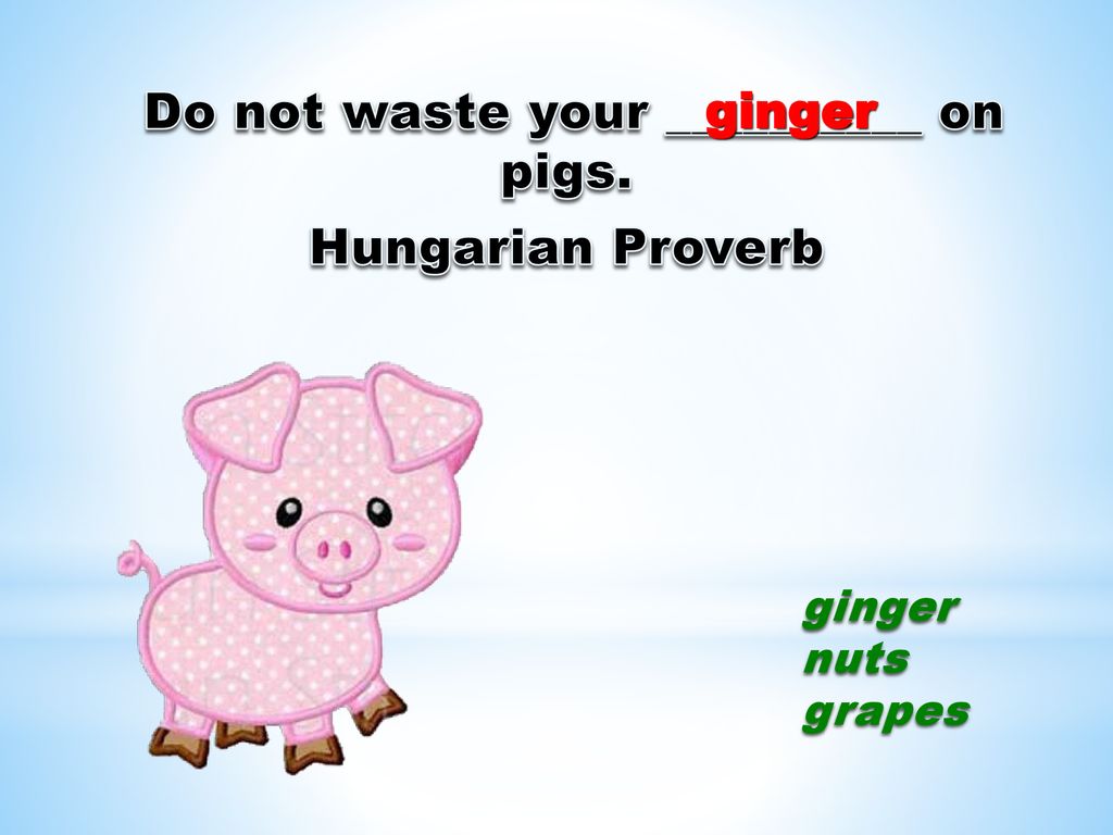 Do not waste your __________ on pigs.