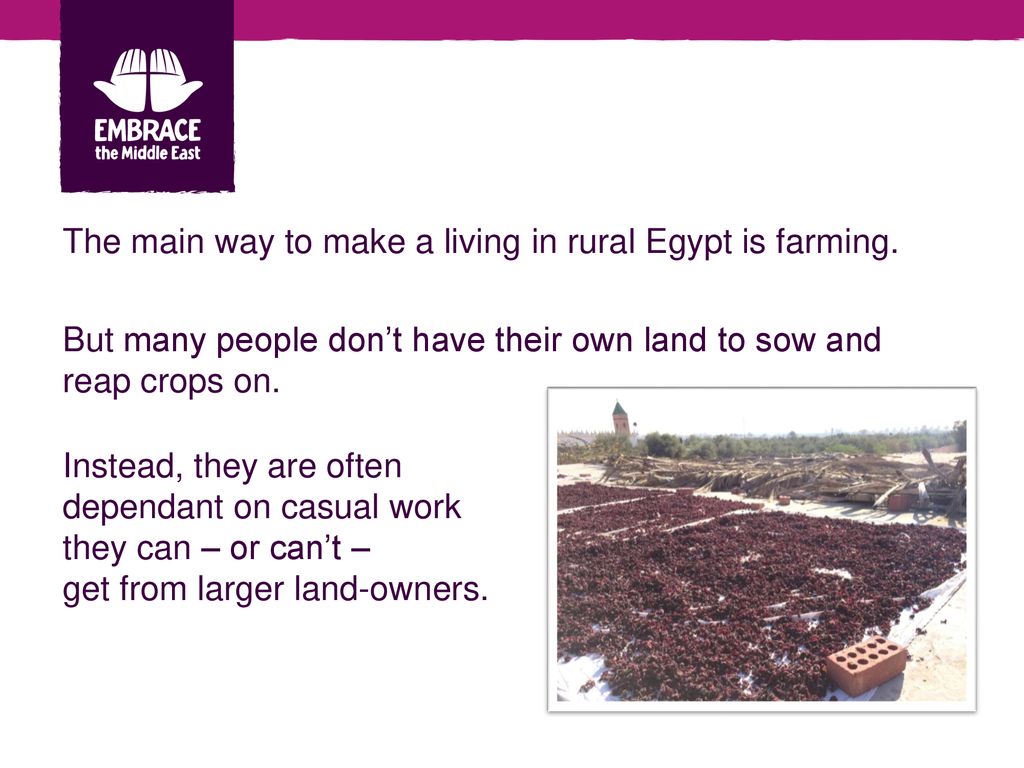 The main way to make a living in rural Egypt is farming.