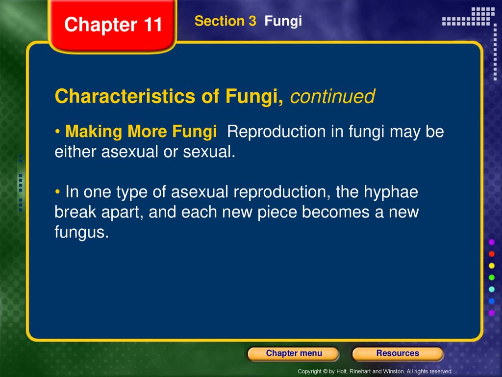 Chapter 11 Section 3 Fungi Bellringer Ppt Download