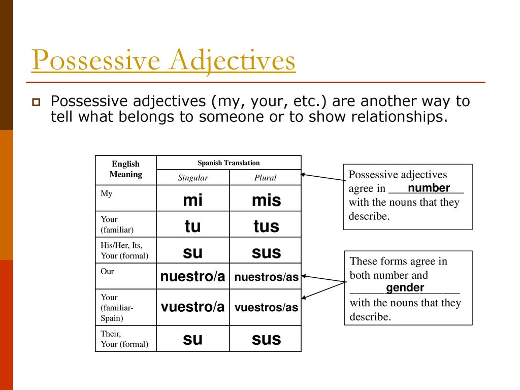 Apuntes: Showing Possession - ppt download