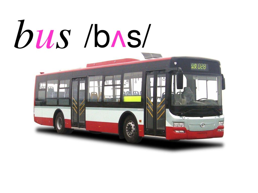 bus /bʌs/