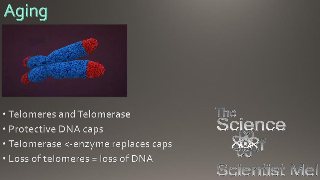 Aging am CST Scientistmelcom Twittercomscientistmel Biology Diagrams
