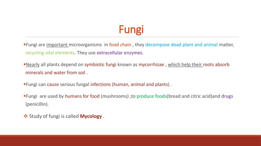 Microbial diversity and groups Biology Diagrams